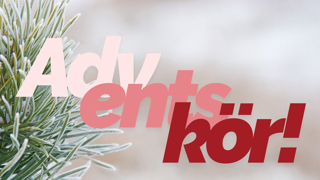 Adventskör